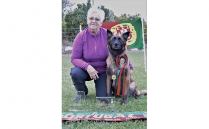 Binómio algarvio é campeão nacional de Obediência 