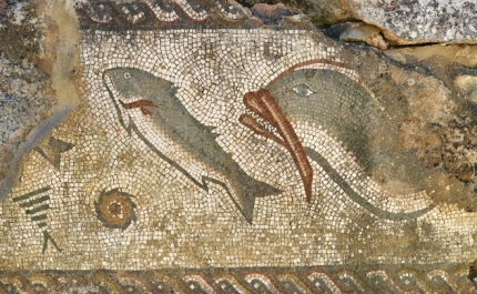 CICLO CLÁSSICOS EM MILREU