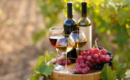 Vinho da Região do Algarve premiado pelo Crédito Agrícola