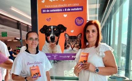 A 32ª iniciativa do Banco Solidário Animal foi um sucesso