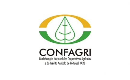 CONFAGRI em Protesto  na Manifestação em Bruxelas