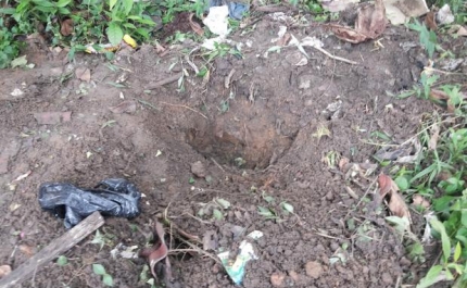 Encontrado corpo de cidadã britânica enterrado em quintal de casa no Algarve (ATUALIZADO)
