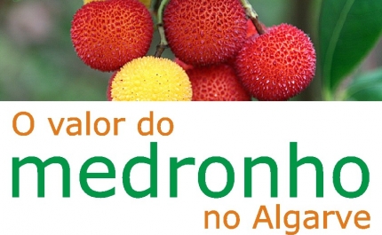 Workshop sobre o valor do medronho no Algarve em Alte