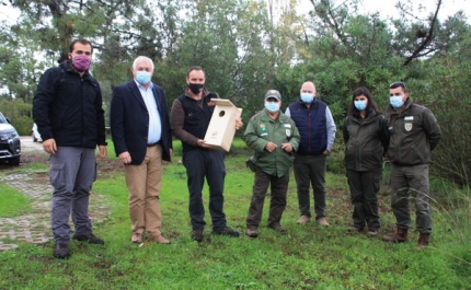 A Associação Vita Nativa – Conservação do Ambiente e o ICNF 