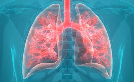 GSK investe no combate às alterações climáticas pela proteção da saúde respiratória