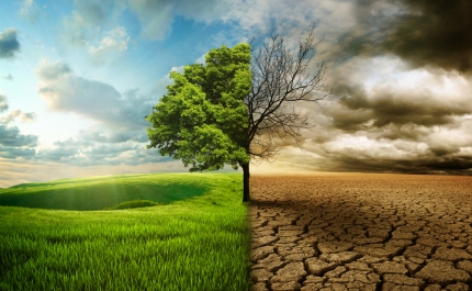 Jovens ativistas pelo clima condenados a multa de 295 euros