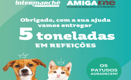 Intermarché angaria mais de 30 mil refeições para animais abandonados através da campanha «Amiga-me»