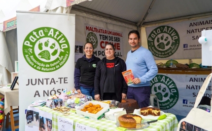 MILHARES DE PESSOAS MARCARAM PRESENÇA NO SEAFEST DESTE ANO