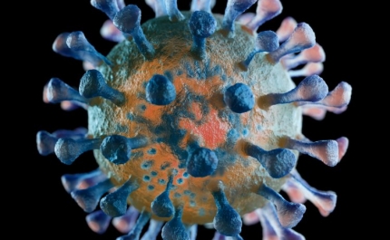 Covid-19: Algarve regista hoje 407 novos casos e 1 vítima mortal