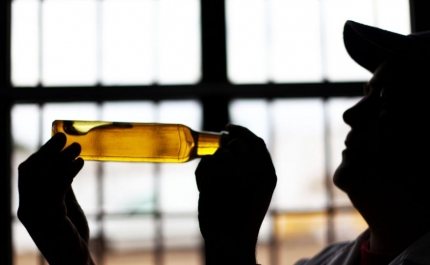 Portugal com recorde de produção de azeite e dificuldade em escoar bagaço de azeitona