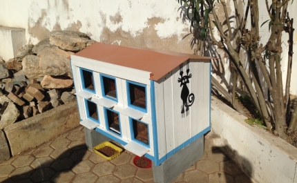 PROJETO “UM ANIMAL, UM AMIGO”  TRATOU MAIS DE MEIA CENTENA DE ANIMAIS EM FERRAGUDO, POSSIBILITANDO O ENCONTRO DE FAMILIAS DE ACOLHIMENTO