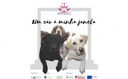 «UM CÃO À MINHA JANELA» VISITA IDOSOS  EM CONFINAMENTO NOS LARES DO CONCELHO DE LOULÉ