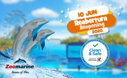 Zoomarine reabre já amanhã
