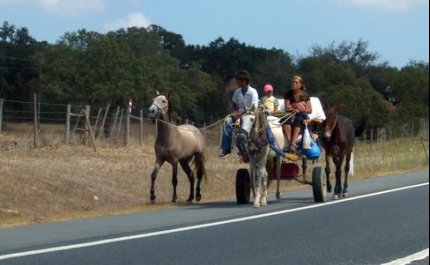 Akredita em Ti candidata-se ao Programa Bairros Saudáveis com «Afro Gypsy Costura»
