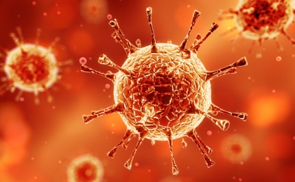 Covid-19: Algarve regista hoje mais 36 novos casos