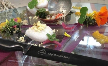 ALGARVE CHEFS WEEK DE VOLTA COM EDIÇÃO DEDICADA AO CEVICHE