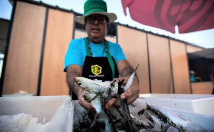 Festival da Sardinha bate recorde de afluências com 110 mil entradas
