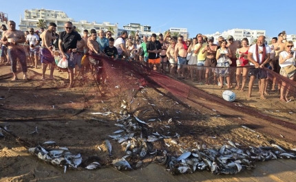 Quarteira revive tradição secular: Lavada atrai multidão aos Petiscos do Pescador 