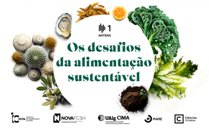 Investigadora da UAlg envolvida em novo programa da Antena 1 sobre alimentação sustentável