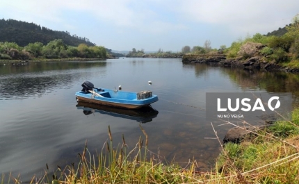 Covid-19: Governo levanta suspensão da pesca ao fim de semana em rios e rias