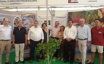 Realizou-se mais uma Feira de Caça e Pesca e do Mundo Rural 