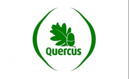 Quercus classifica 355 praias com qualidade de ouro, 28 são interiores