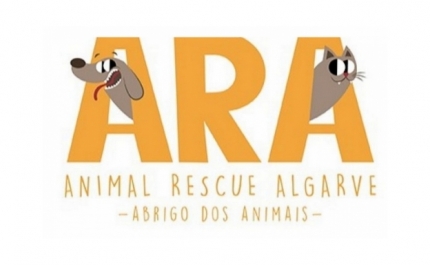 Abrigo de Loulé aumenta os seus esforços humanitários na Ucrânia