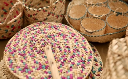 CENTRO EDUCATIVO DO CERRO D. OURO| PADERNE PROMOVE ATIVIDADES GRATUITAS