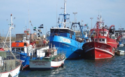  Extinção da Pesca com Arte de Ganchorra Rebocada por Embarcação na Zona Sul 