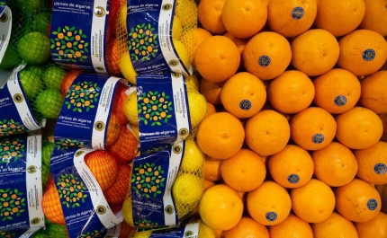 Citrinos do Algarve IGP levam sabor português ao mercado alemão