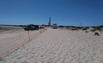 Tribunal suspende demolição de mais 41 casas na ilha algarvia do Farol