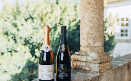 Jantares Vínicos: os Vinhos Borges brilham em harmonizações gastronómicas