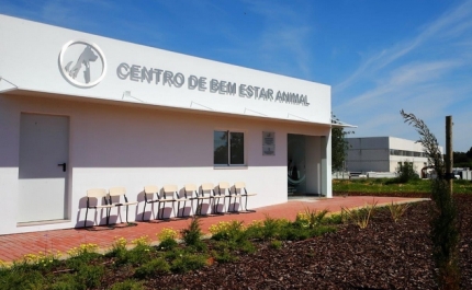 SERVIÇO MUNICIPAL DE VETERINÁRIA MUDOU-SE PARA O CENTRO DE BEM ESTAR ANIMAL DE ALBUFEIRA