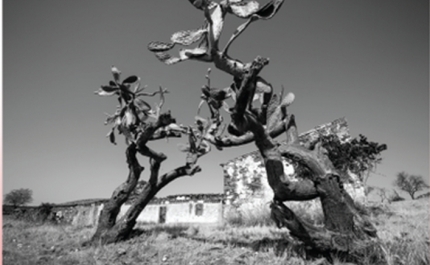 INAUGURAÇÃO DA EXPOSIÇÃO «VIAGEM INTERIOR», DE TELMA VERÍSSIMO 