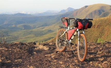 Comissão de Cogestão da Ria Formosa