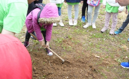 LOULÉ ASSINALOU DIA INTERNACIONAL DAS FLORESTAS COM AÇÕES DE PLANTAÇÃO E SENSIBILIZAÇÃO