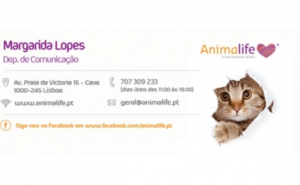 Banco Solidário Animal recolhe mais de 230 toneladas de ração 