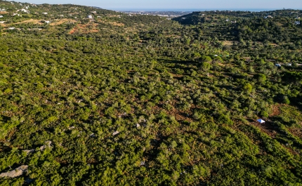 LOULÉ CLASSIFICA DUAS NOVAS ÁREAS PROTEGIDAS E PASSA A CONTAR COM 5 ÁREAS PROTEGIDAS DE ÂMBITO LOCAL NO CONCELHO