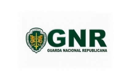 GNR detém cerca de 280 condutores por semana com taxa de álcool considerada crime