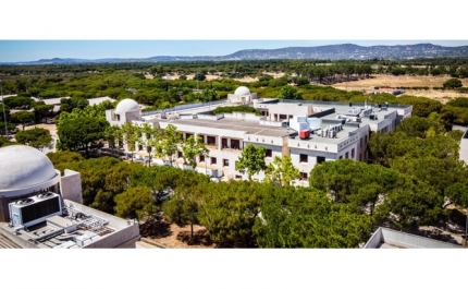 «RESPOSTAS INCLUSIVAS À DIVERSIDADE ATRAVÉS DO DIÁLOGO PROFESSOR-ALUNO»