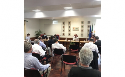 AMAL reúne com empresários e associações do Algarve para preparar estratégia de combate aos efeitos da Covid-19