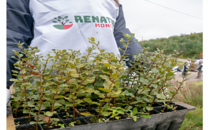 RELANÇAMENTO DO PROJETO «RENATURE MONCHIQUE»