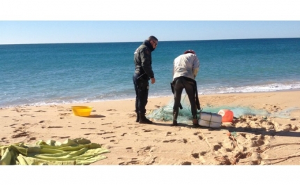 Polícia Marítima apreende arte de pesca com 80 metros na Praia de Faro