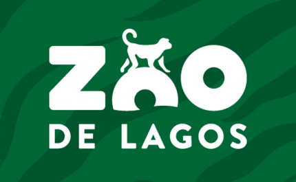 FÃS DE HARRY POTTER PREPAREM-SE: VAI ABRIR UM CENTRO DE MAGIZOOLOGIA NO ZOO DE LAGOS NO HALLOWEEN