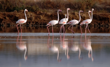 ENTREGA DE PRÉMIOS DO PASSATEMPO DE FOTOGRAFIA  «RIA MAIS QUE FORMOSA»