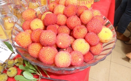 Feira dedicada ao Medronho em Loulé