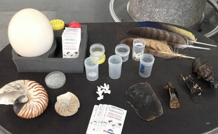 MAR Shopping Algarve recebe Zoomarine para atividades em prol do ambiente