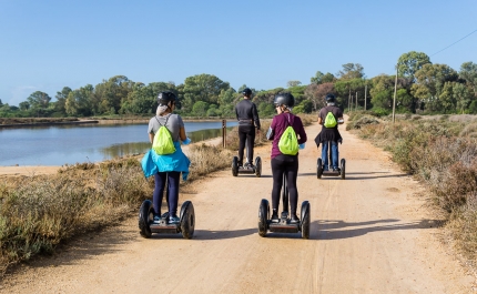 RTA reforça oferta de experiências de natureza aos visitantes no «Dia Aberto» do Parque Natural da Ria Formosa