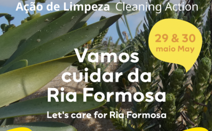 MAR SHOPPING ALGARVE PROMOVE AÇÃO DE LIMPEZA DA RIA FORMOSA EM COLABORAÇÃO COM PARCEIROS LOCAIS 