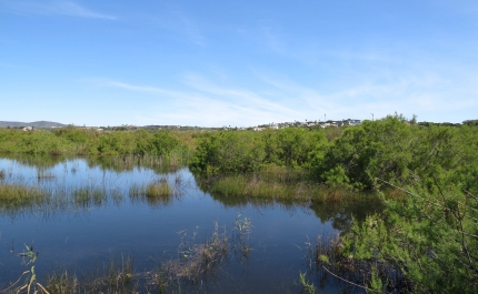 ESPÉCIES AMEAÇADAS NA FOZ DO ALMARGEM: MUNICÍPIO DE LOULÉ APRESENTA QUEIXA CONTRA PREVARICADORES